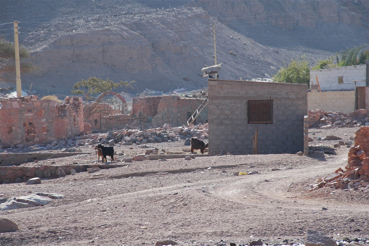 wioska beduińska